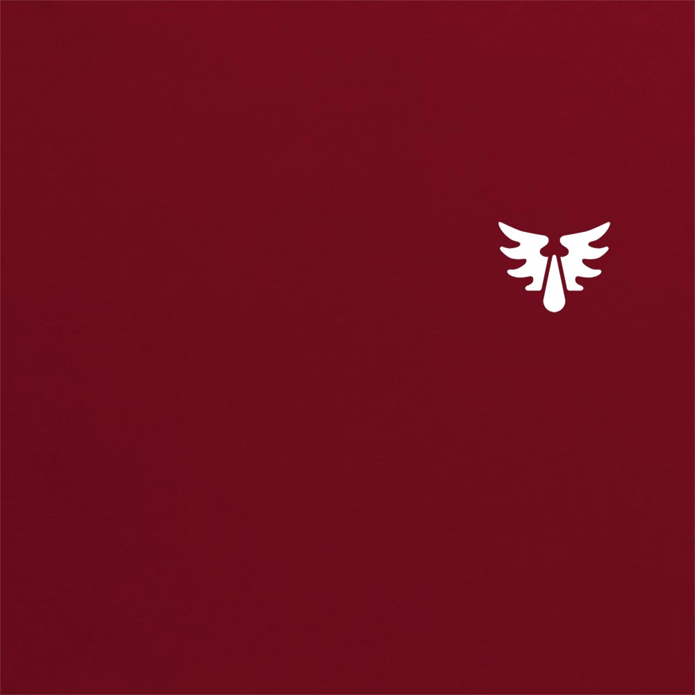 Blood Angels Insignia Hoodie