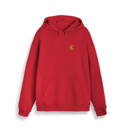 Red Printed Sweater Front